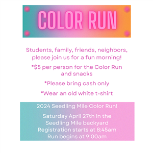 Color Run activity information